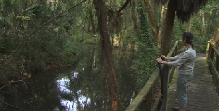 Brenda Brown @ Crowley Creek, fr video by D. Saffer
