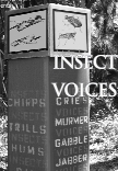 excerpt, Insect Voices concert program, Brenda Brown