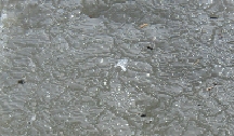 Seine River Ice, 2008, photo by Brenda Brown
