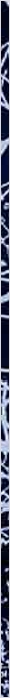 thnnwb-vrtcl-a-copy.jpg